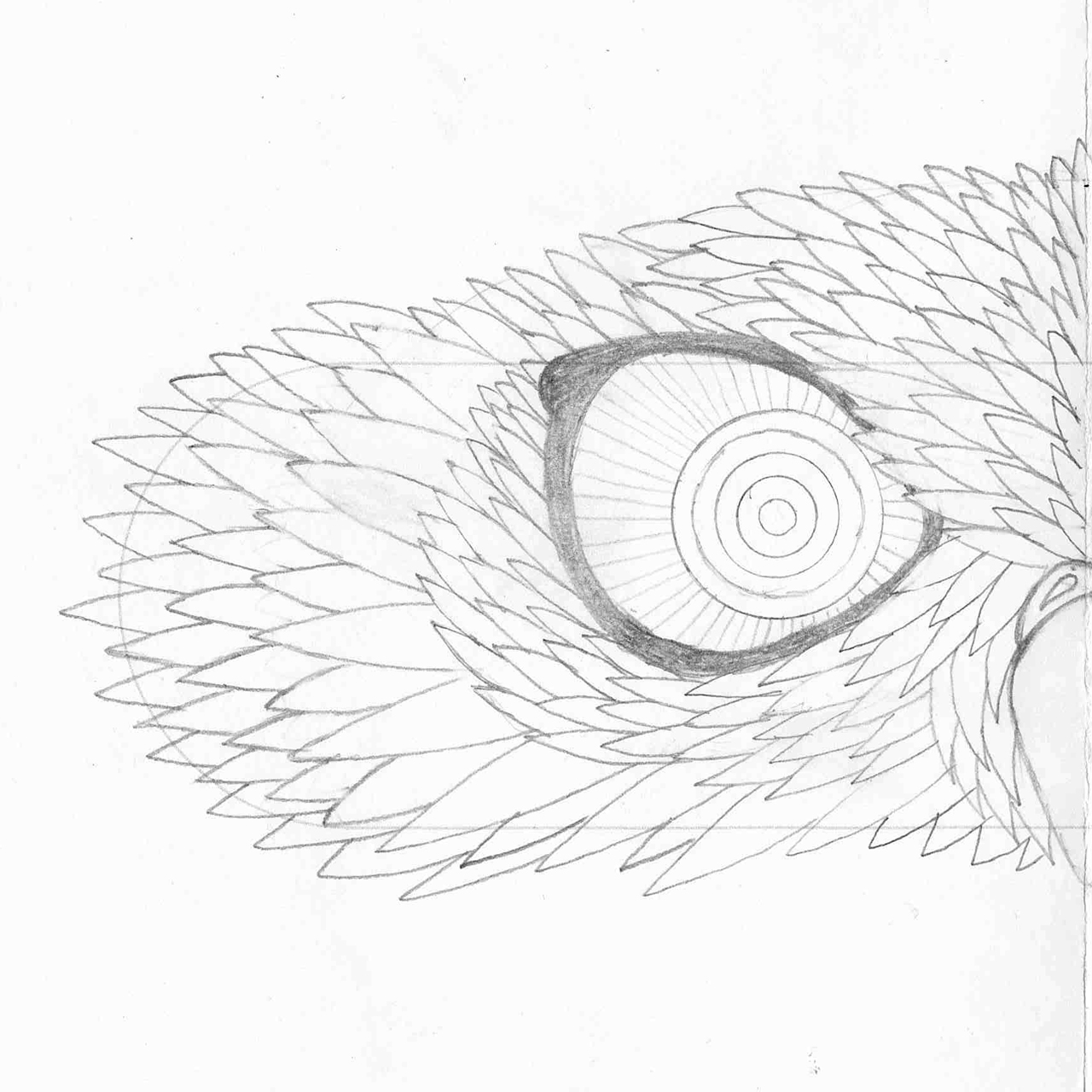 freakart_lv_victorinox_ilustracija_dizains_produkts_05