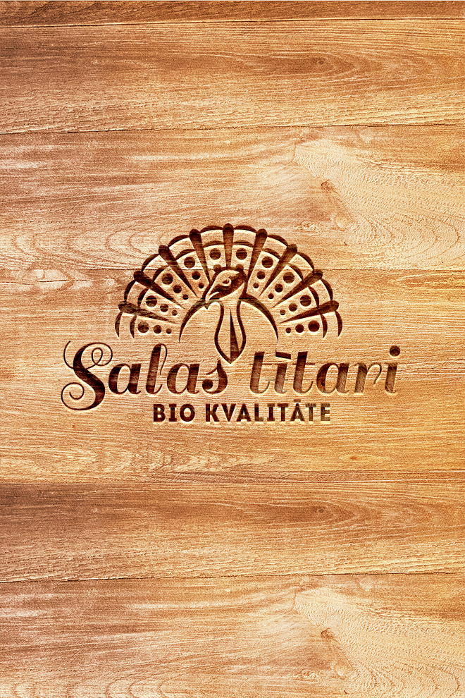 Salas turkeys logotype design